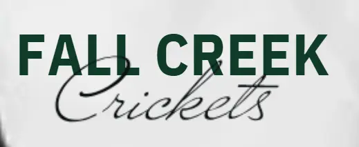 Screenshot 2025-11-05 081535.webp