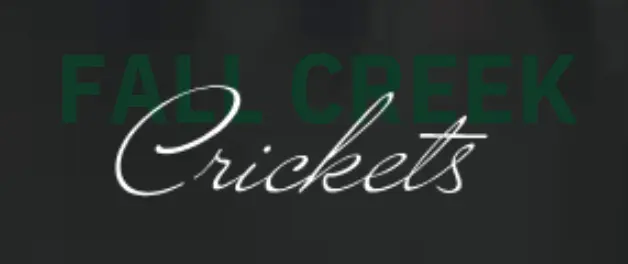 Screenshot 2025-11-05 081003.webp