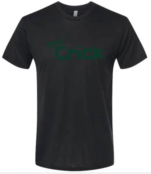 Next Level Triblend Youth Fear the Chirp