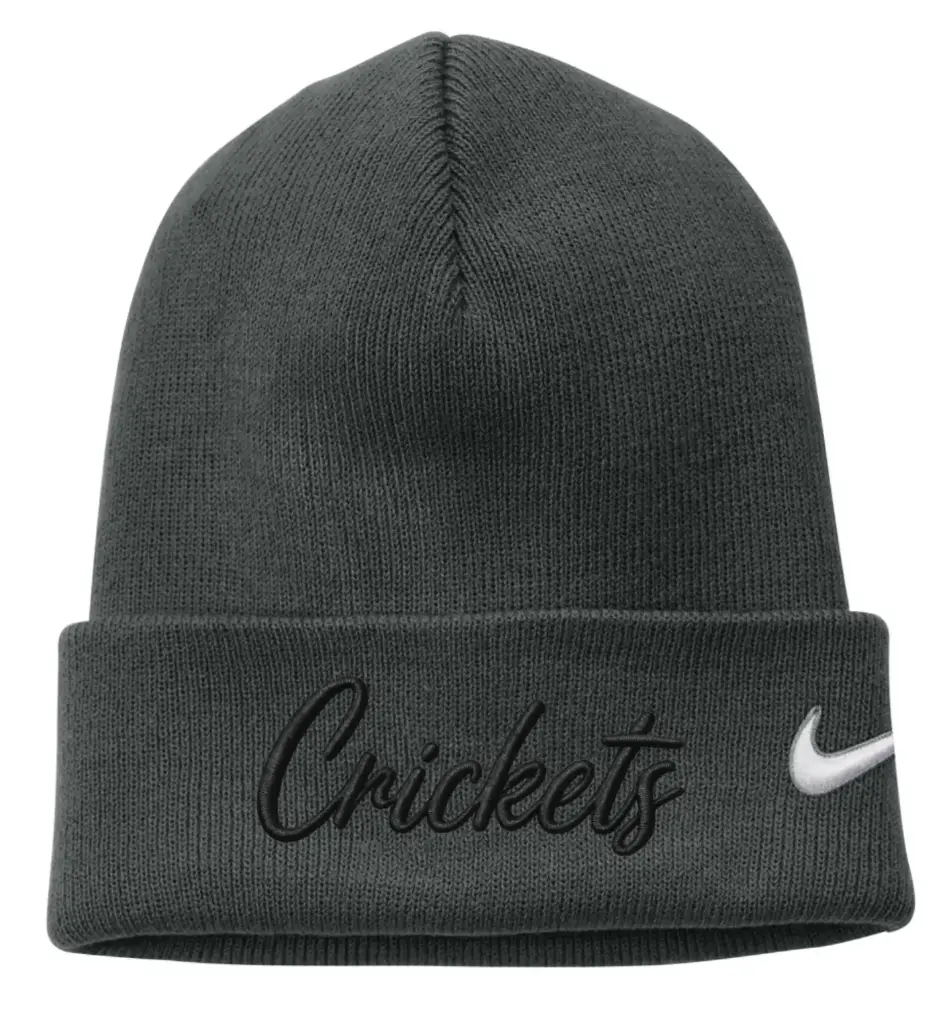 Nike Team Cuffed Beanie Crickets Logo (Anthracite)