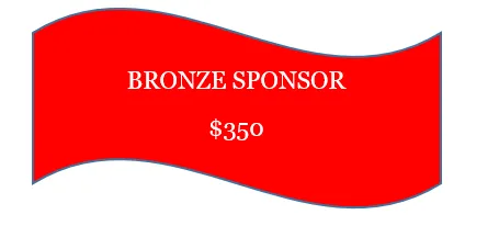 Bronze Sponsor